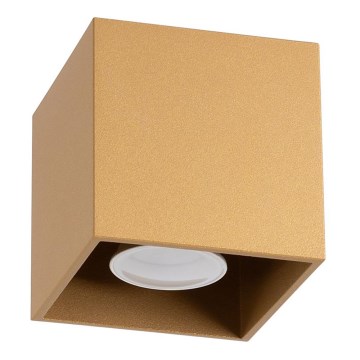 Точковий світильник QUAD 1xGU10/10W/230V золотий