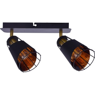 Точковий світильник RICK 2xE14/40W/230V