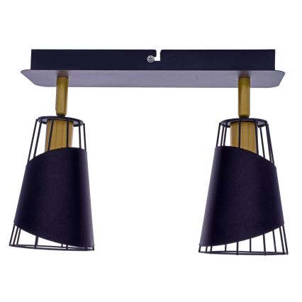 Точковий світильник RICK 2xE14/40W/230V