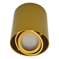 Точковий світильник SIROK 1xGU10/30W/230V золотий
