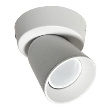 Точковий світильник TROY 1xGU10/30W/230V білий