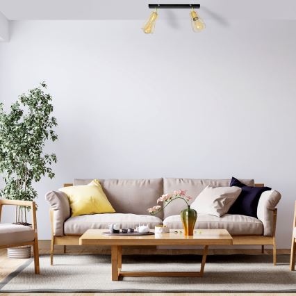 Точковий світильник TUBE 2xE27/15W/230V золотий/чорний