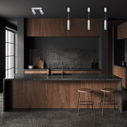 Точковий світильник VERTICAL 2xGU10/8W/230V білий