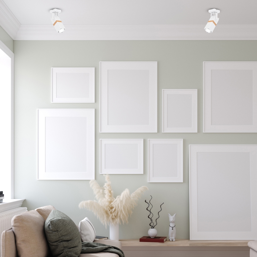 Точковий світильник VIDAR 1xGU10/25W/230V