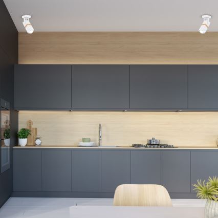 Точковий світильник VIDAR 1xGU10/25W/230V