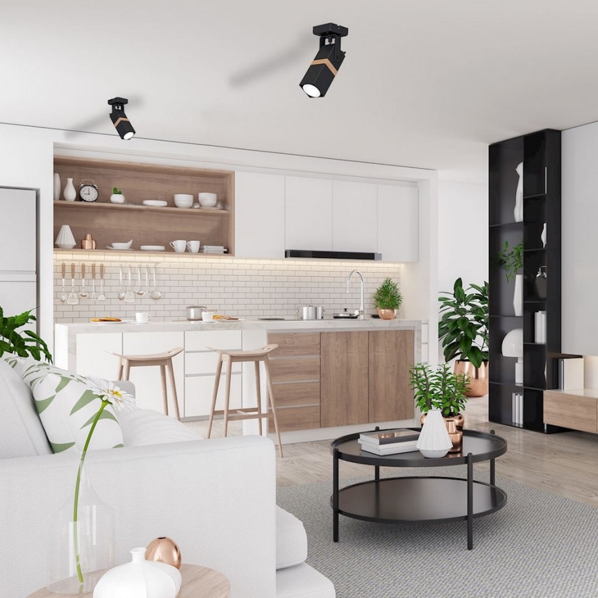 Точковий світильник VIDAR 1xGU10/25W/230V