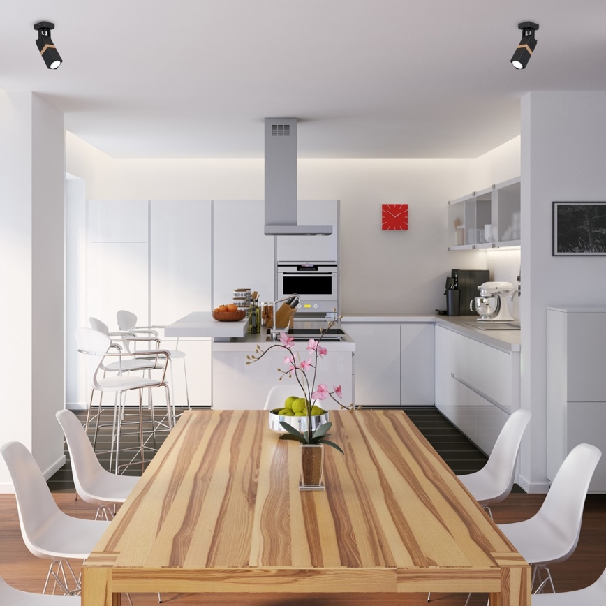 Точковий світильник VIDAR 1xGU10/25W/230V