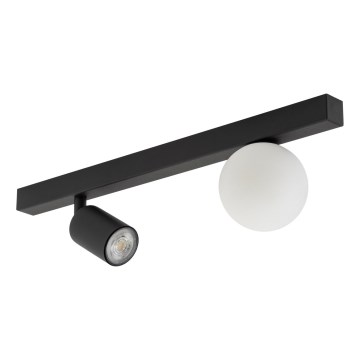 Точковий світильник VOX 1xG9/8W/230V + 1xGU10/10W чорний