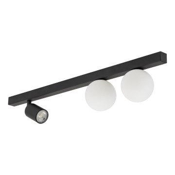 Точковий світильник VOX 2xG9/8W/230V + 1xGU10/10W чорний
