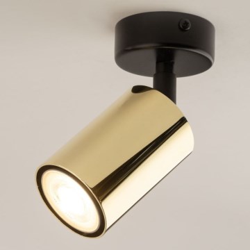 Точковий світильник ZOOM 1xGU10/10W/230V золотистий/чорний