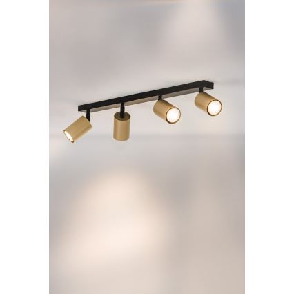Точковий світильник ZOOM 4xGU10/25W/230V чорний/золотий
