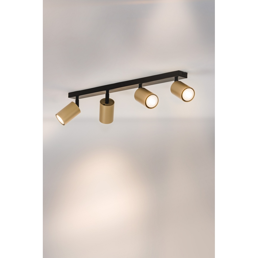 Точковий світильник ZOOM 4xGU10/25W/230V чорний/золотий