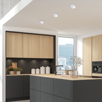 Точковий вбудований стельовий світильник BALI 1xGU5,3/MR16/25W/12V круглий білий