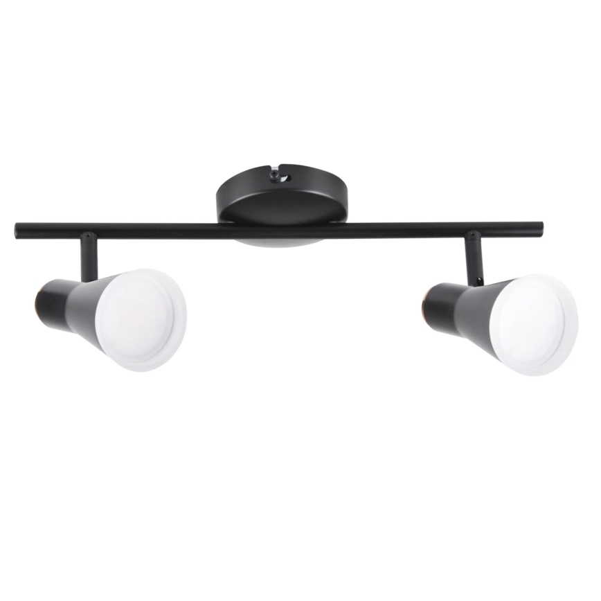 Точковий LED світильник BERG 2xLED/4,2W/230V чорний