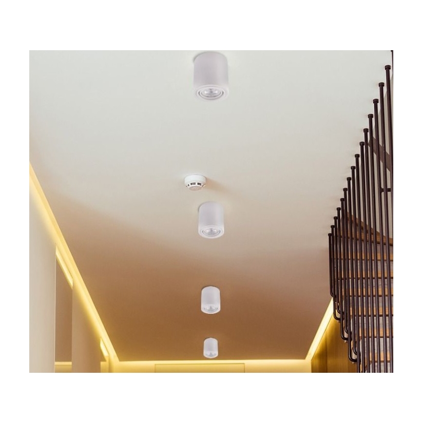 Точковий LED світильник TUBA 1xGU10/5W/230V 4000K білий