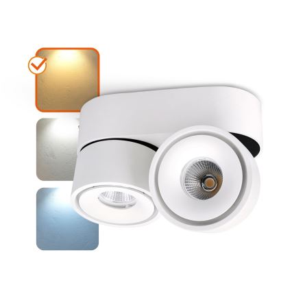 Точковий LED світильник з регулюванням яскравості LAHTI MINI 2xLED/9W/230V 3000K CRI 90 білий