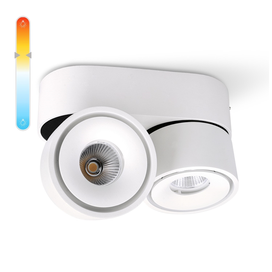 Точковий LED світильник з регулюванням яскравості LAHTI MINI 2xLED/9W/230V 3000K CRI 90 білий