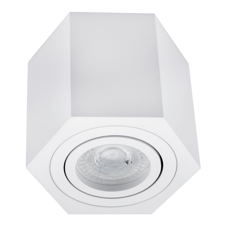 Точковий світильник ARENO 1xGU10/30W/230V біла