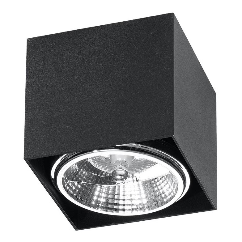 Точковий світильник BLAKE 1xGU10/40W/230V