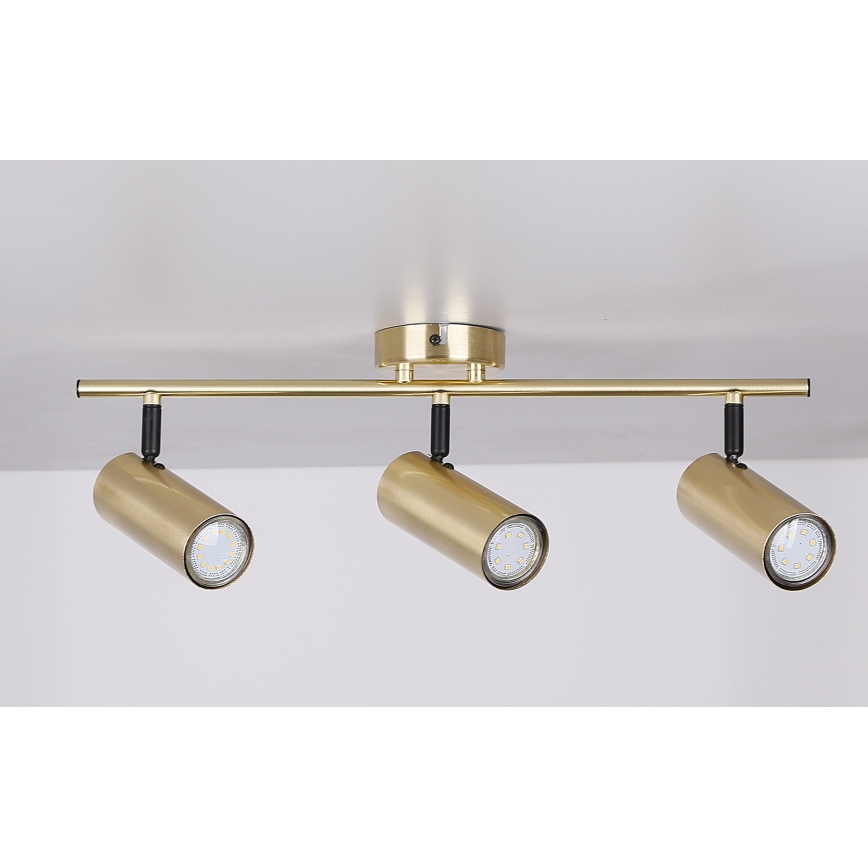 Точковий світильник COLLY 3xGU10/15W/230V золотий