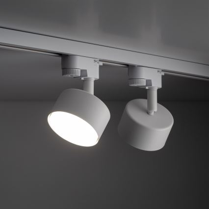 Точковий світильник до 1-фазної трекової системи AVIA 1xGX53/15W/230V білий
