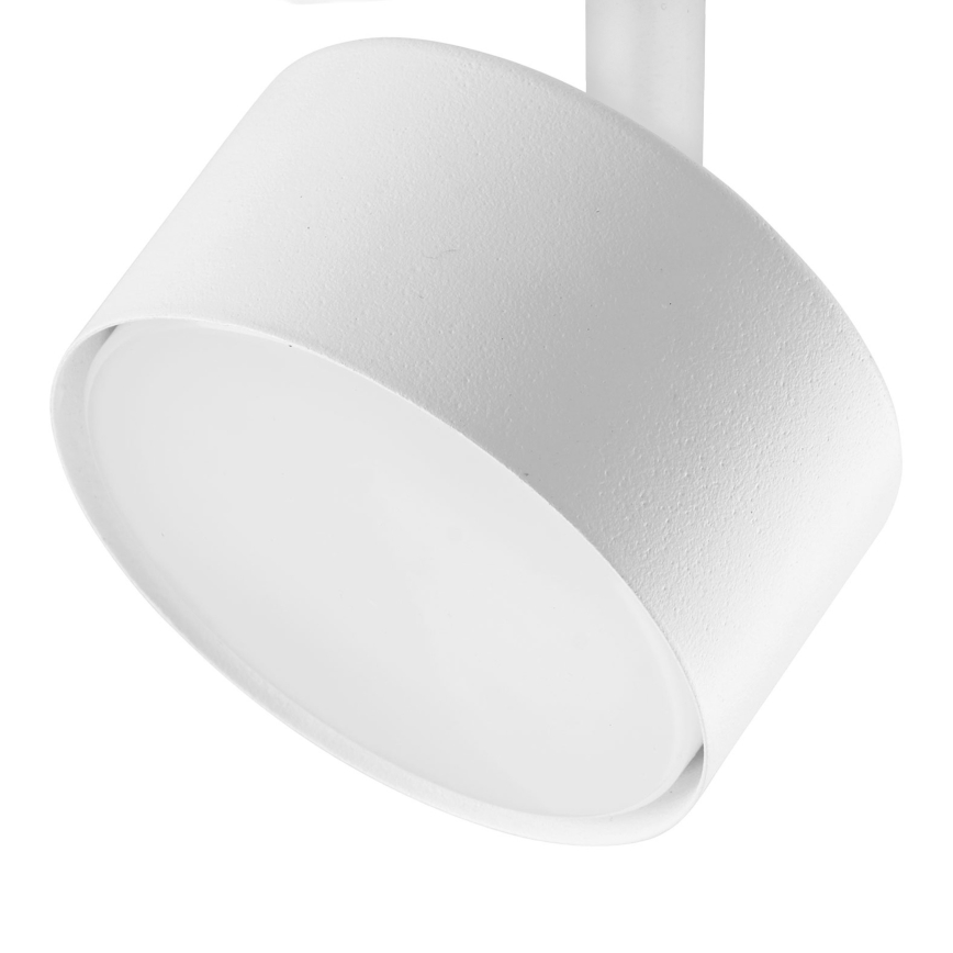 Точковий світильник до 1-фазної трекової системи AVIA 1xGX53/15W/230V білий