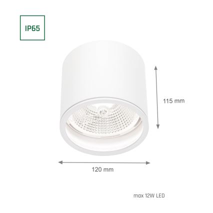 Точковий світильник для ванної кімнати CHLOE AR111 1xGU10/12W/230V IP65 круглий білий