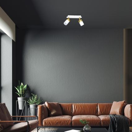 Точковий світильник JOKER 2xGU10/25W/230V білий/золотий