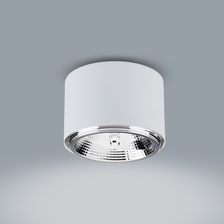 Точковий світильник MORIS 1xAR111 GU10/50W/230V білий