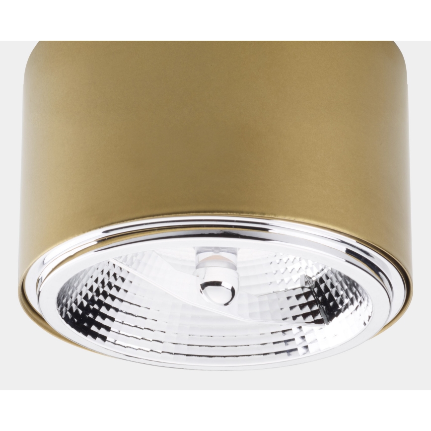 Точковий світильник MORIS 1xAR111 GU10/50W/230V золотий