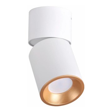 Точковий світильник NIXA 1xGU10/10W/230V білий/золотий