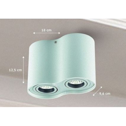 Точковий світильник TUBA 1xGU10/50W/230V білий