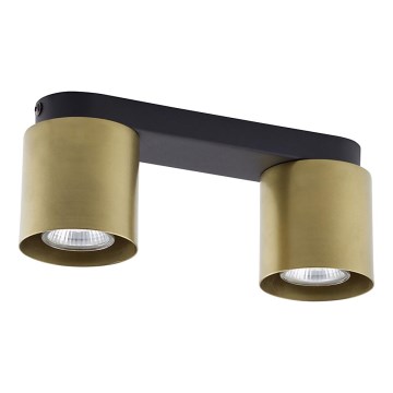 Точковий світильник VICO GOLD 2xGU10/10W/230V