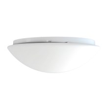 Top Light 5501/40/LED - Светодиодный потолочный светильник 1xLED/24W/230V