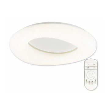 Top Light Cloud PL RC - Світлодіодний стельовий світильник з регулюванням яскравості та дистанційним керуванням CLOUD LED/40W/230V