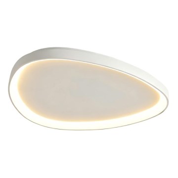 Top Light - диммируемый потолочный светильник ECLIPSE LED/55 Вт/230 В 3000–6500 К Ø 60 см белый + пульт дистанционного управления