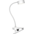 Top Light - LED Димируемая настольная лампа с клипом BELLA LED/4,8W/5V 3000-6500K Белая