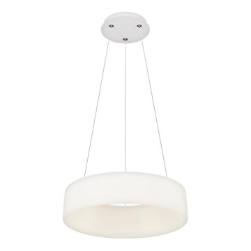 Top Light - LED Dimmbare Hängelampe HALO LED/40W/230V 3000-6500K Ø 44 cm + Fernbedienung