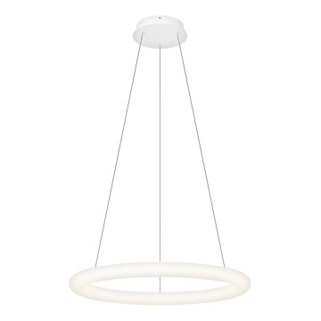 Top Light - LED диммируемая люстра на тросе RINGO LED/40W/230V 3000-6500K белая + пульт дистанционного управления