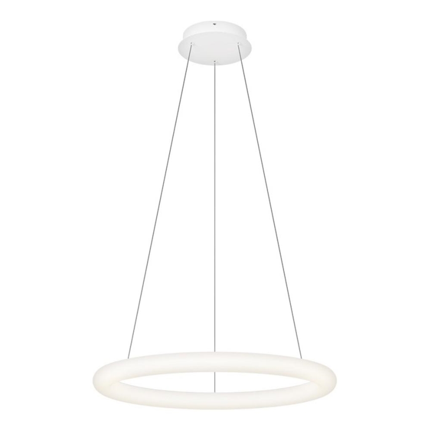 Top Light - LED-люстра з регулюванням яскравості на тросі RINGO LED/40W/230V 3000-6500K, біла, з дистанційним пультом