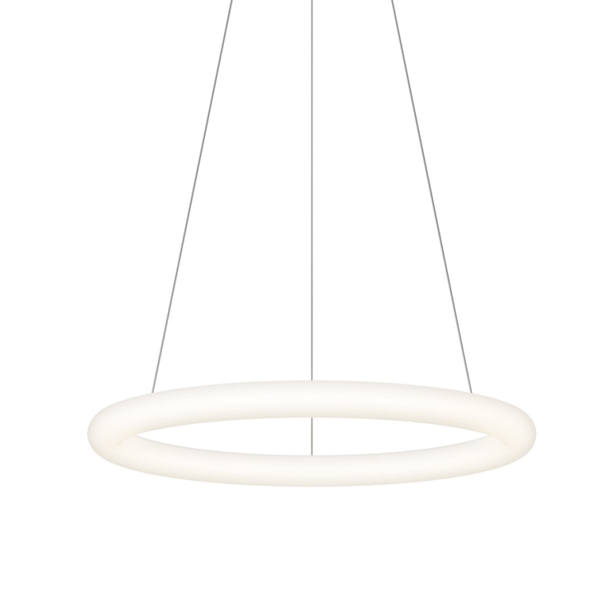 Top Light - LED-люстра з регулюванням яскравості на тросі RINGO LED/40W/230V 3000-6500K, біла, з дистанційним пультом
