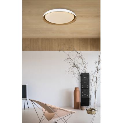 Top Light - Світлодіодний стельовий світильник з регулюванням яскравості SATELLITE LED/48W/230V 3000-6500K діаметр 53 см білий/коричневий + пульт дистанційного керування