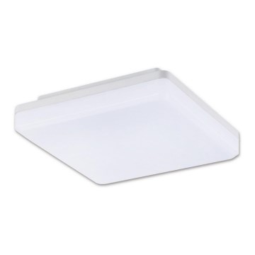 Top Light Leon H - Вуличний світлодіодний стельовий світильник LEON LED/15W/230V IP44