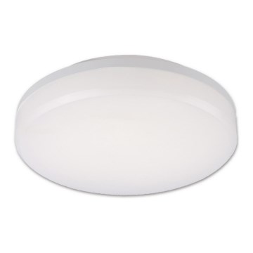 Top Light Leon K - Вуличний світлодіодний стельовий світильник LEON LED/15W/230V IP44