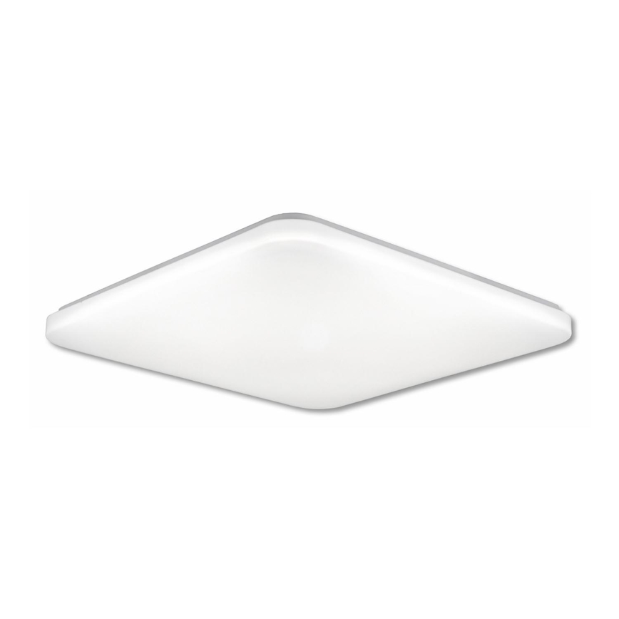 Top Light Ocean H - Стельовий LED світильник OCEAN LED/48W/230V