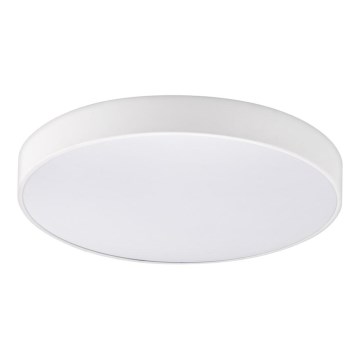 Top Light - Стельовий LED світильник для ванної з регулюванням яскравості PETAL LED/48W/230V IP44 3000-6500K діаметр 48 см білий + пульт дистанційного керування