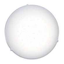 Top Light - Стельовий LED світильник STAR LED/12W/230V