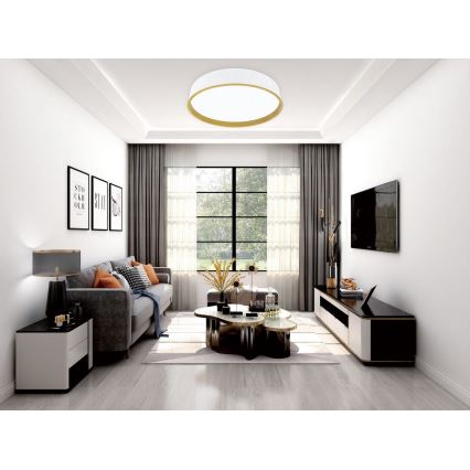 Top Light - Светодиодный потолочный светильник с регулированием яркости DEKOR LED/51W/230V диаметр 40 см 3000-6500K + дистанционное управление