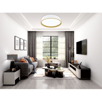 Top Light - Светодиодный потолочный светильник с регулированием яркости DEKOR LED/51W/230V диаметр 50 см 3000-6500K + дистанционное управление