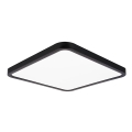Top Light - Светодиодный потолочный светильник с регулированием яркости REVIT LED/36W/230V 3000-6500K 40x40 см черный + дистанционное управление